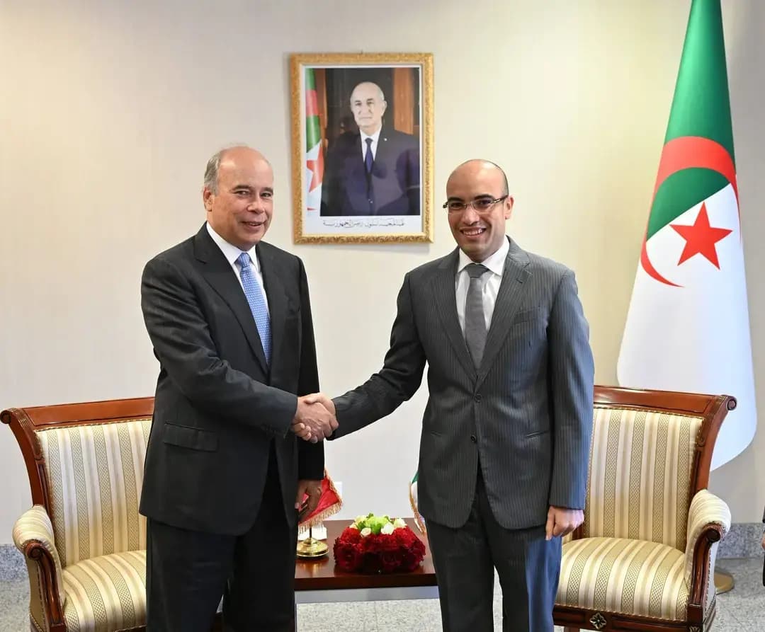 外交国务秘书沙伊布接见了秘鲁共和国外交关系部的秘书长