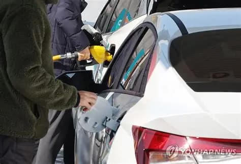 韩国：延长汽车和燃油消费税减免政策