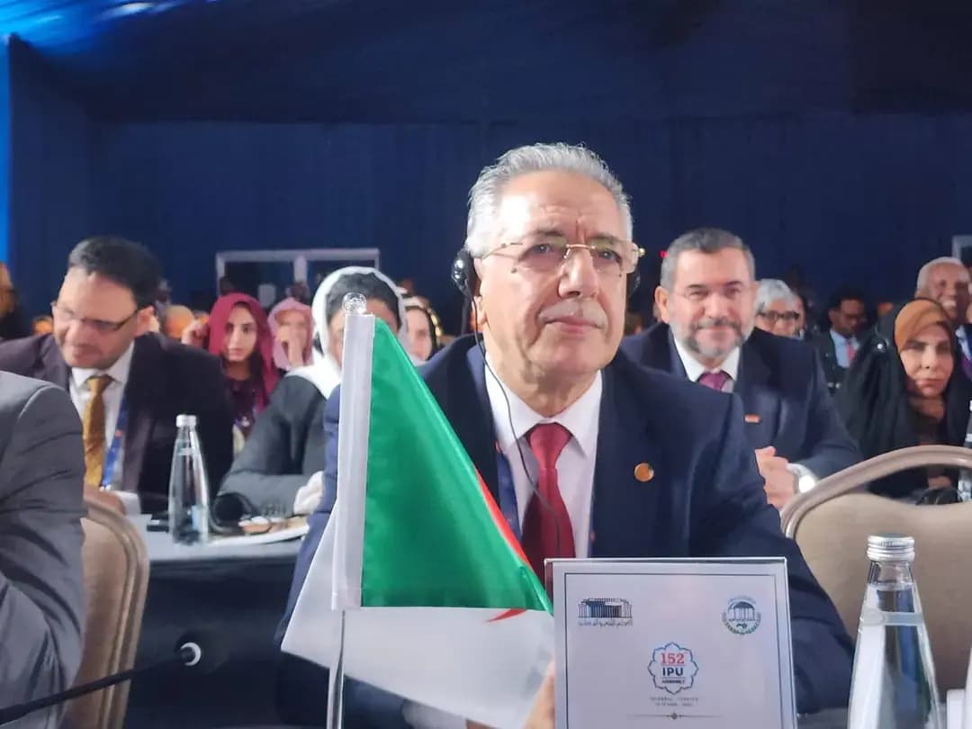 阿尔及利亚议会代表团在土耳其参加非洲地缘政治小组会议