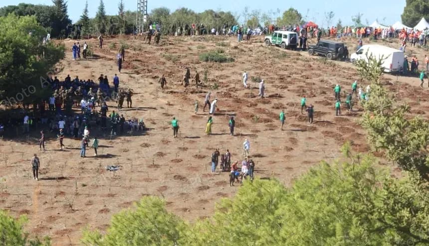 “植树一百万棵”活动：全国各地公民踊跃参与，掀起前所未有的绿色热潮