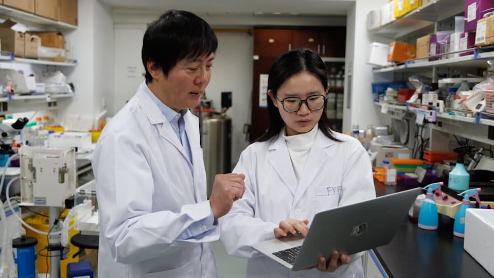 中国：糖尿病治疗领域取得重大医学成果