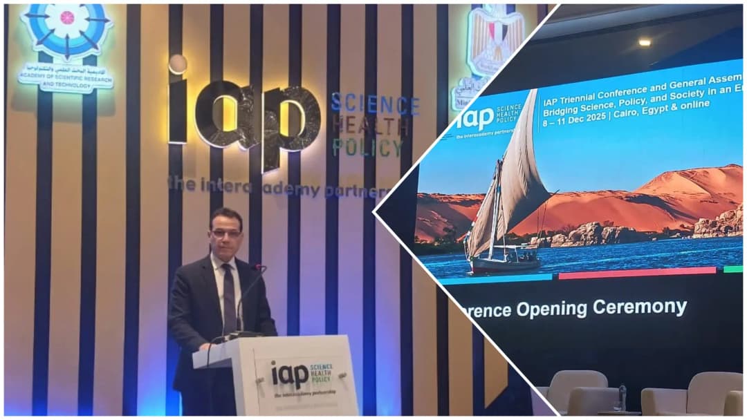 阿尔及利亚科学与技术学院院长参加开罗三方会议