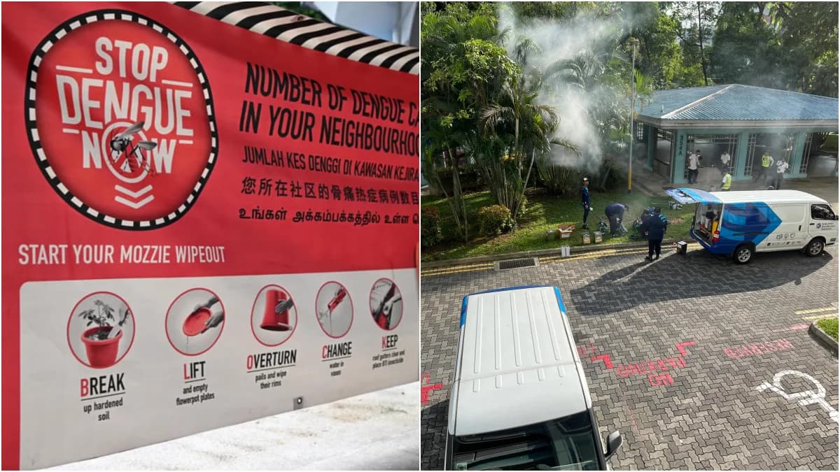 新加坡登革热病例降至七年来最低水平