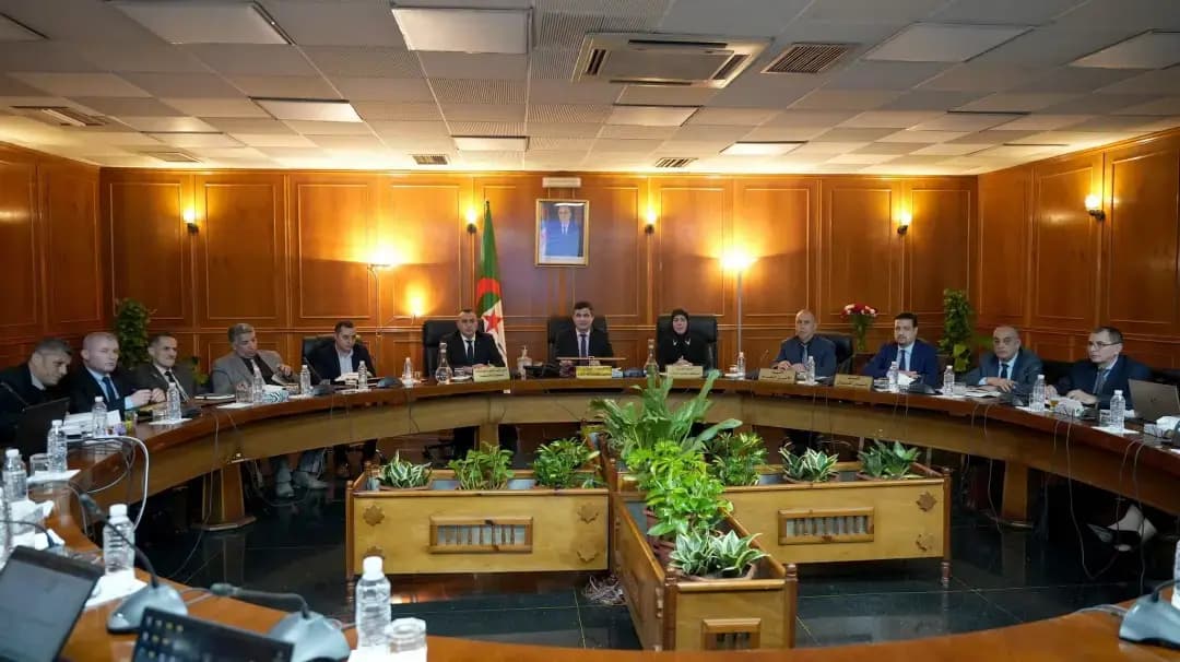 召开关于通过集成数字解决方案加强国内市场供应的协调会议