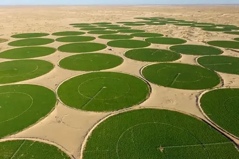 战略性农业投资前景广阔，助力赢得粮食安全之战