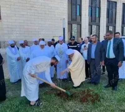 “植树一百万棵”活动：全国各地公民踊跃参与，掀起前所未有的绿色热潮