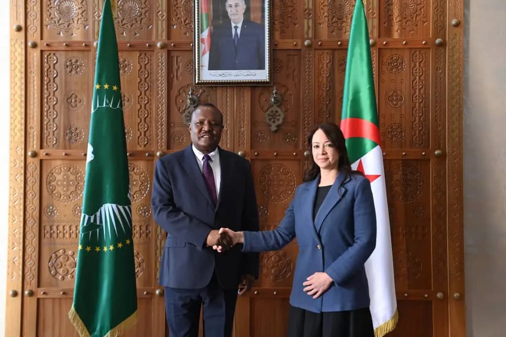 曼苏里女士会见非洲议会主席