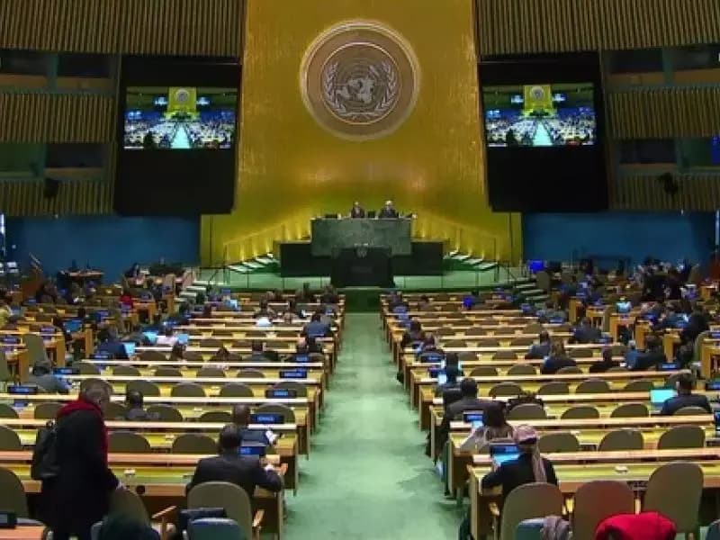 纽约大会强力支持撒哈拉人民自决权