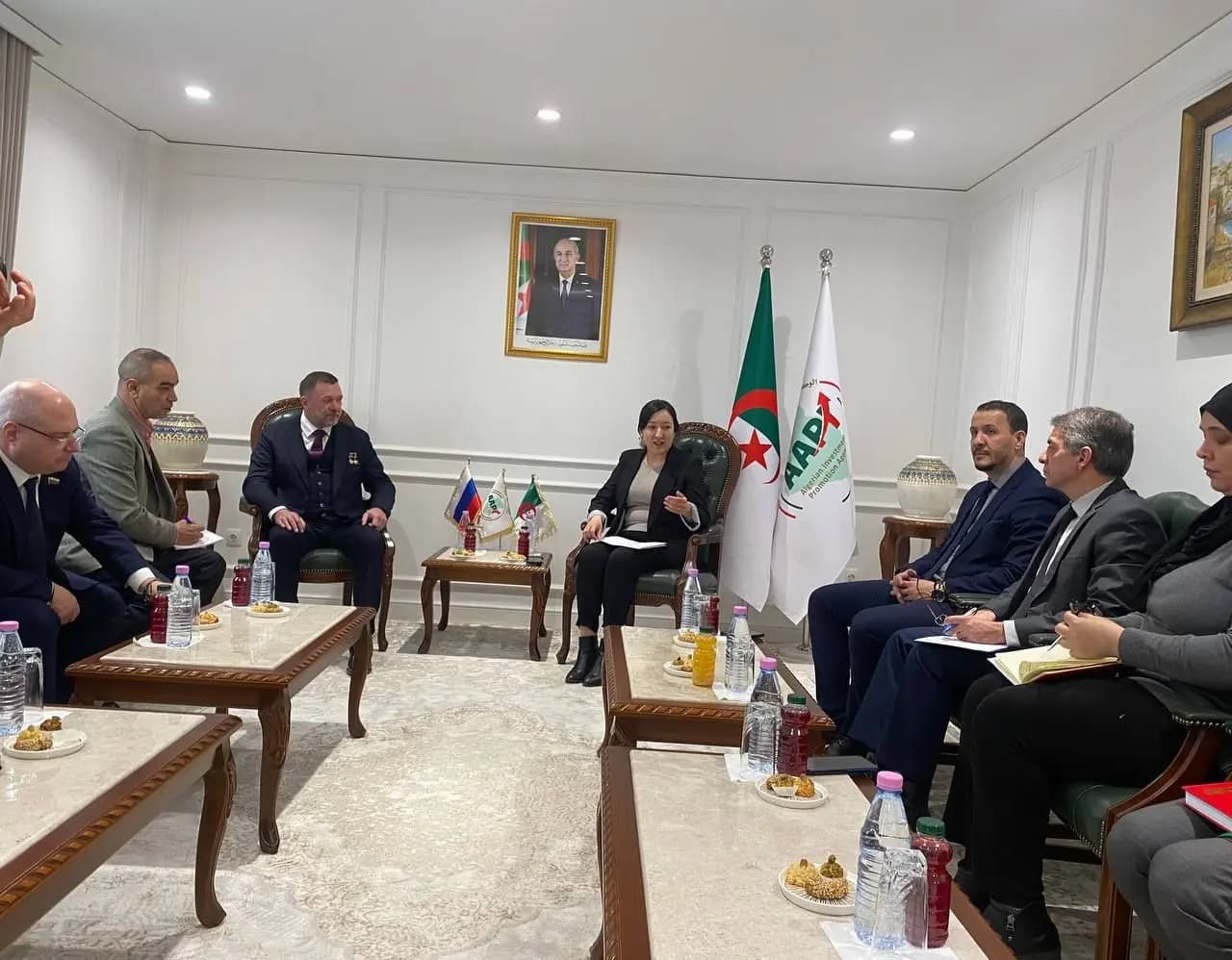 审议在多个领域加强阿尔及利亚—俄罗斯合作的机会