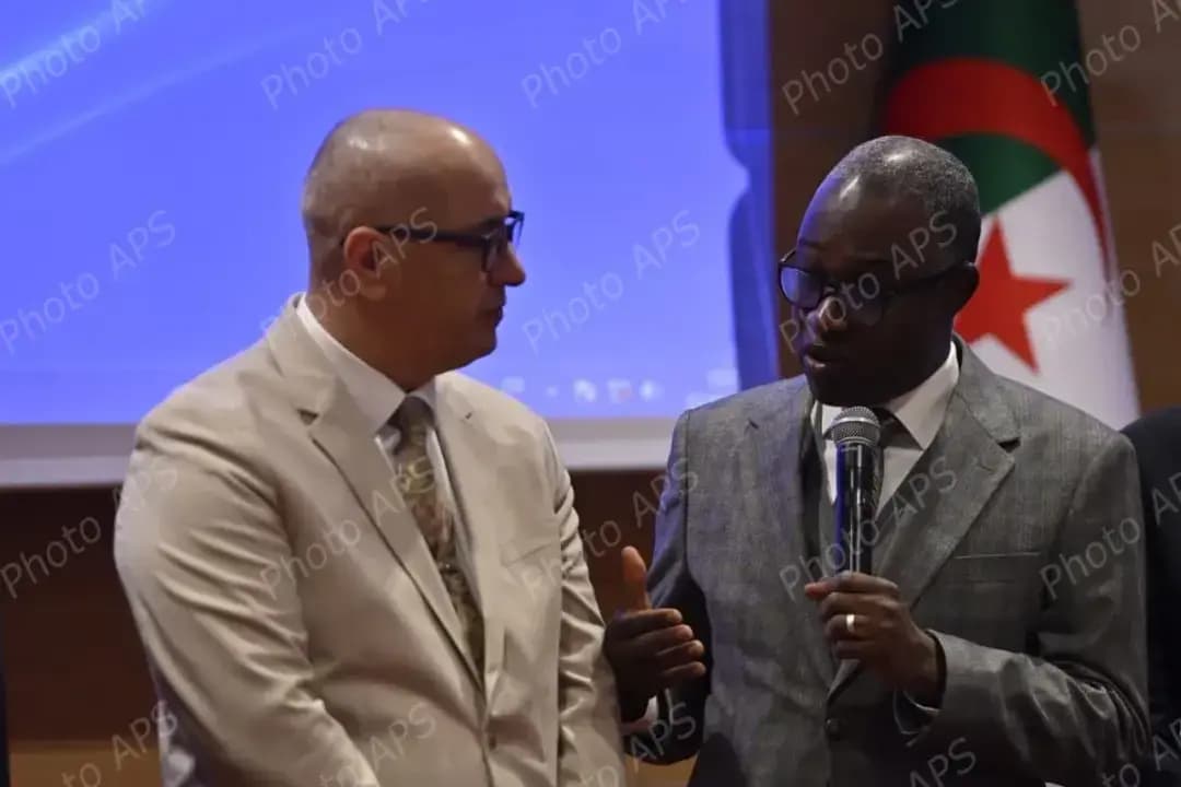 青年部举办选举过程监督与观察机制培训班，面向高等青年委员会成员