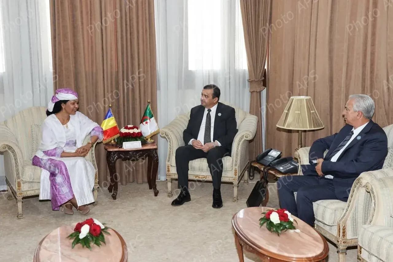 阿尔及利亚与乍得代表团成员举行双边会谈