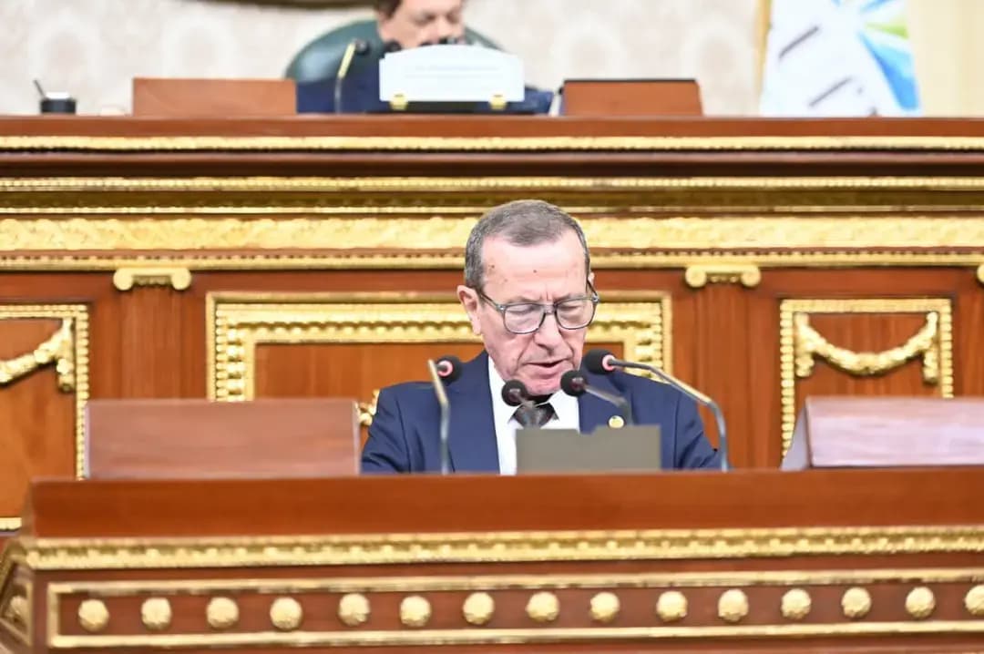 地中海联盟议会大会