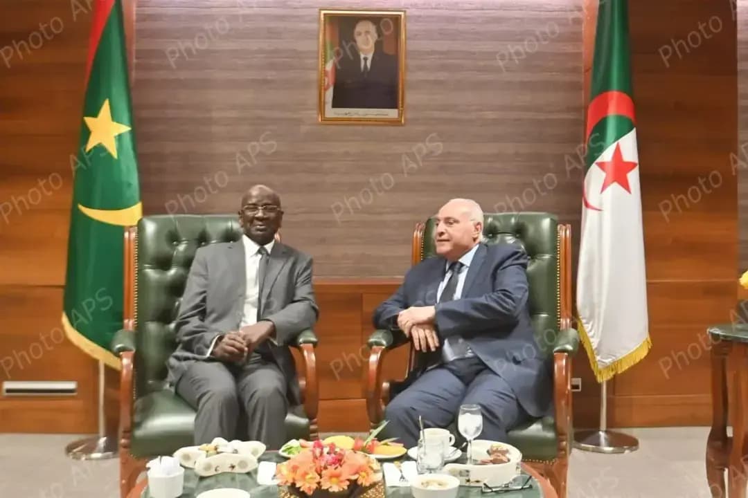 阿塔夫会见毛里塔尼亚外长