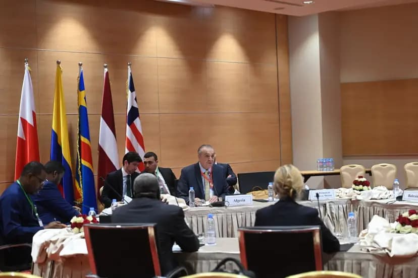 A3+集团成员与新任联合国安理会成员举行协商会议