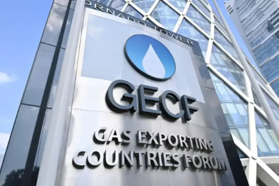 天然气将在全球能源体系中继续强化其作用（GECF）