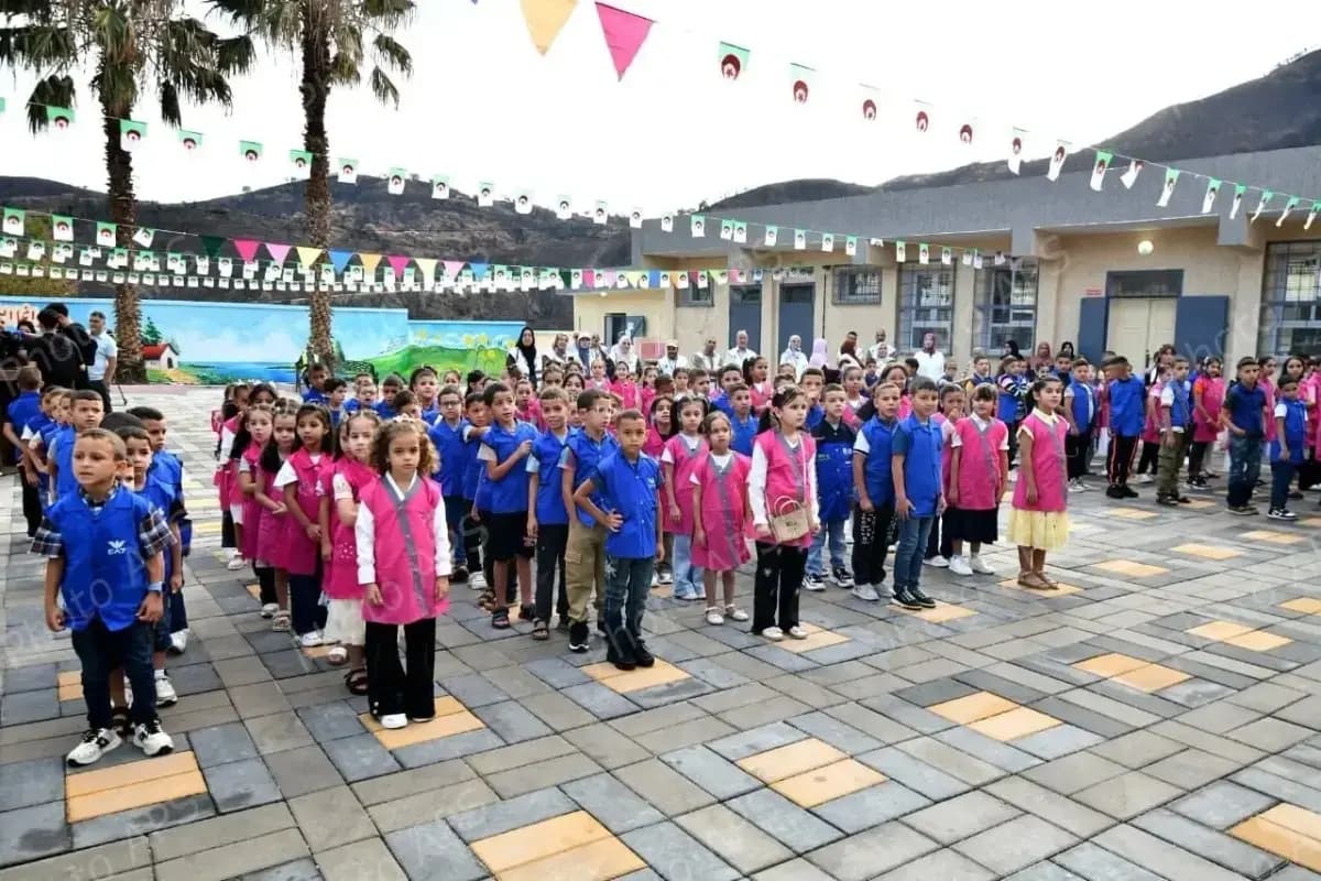 森林
开学