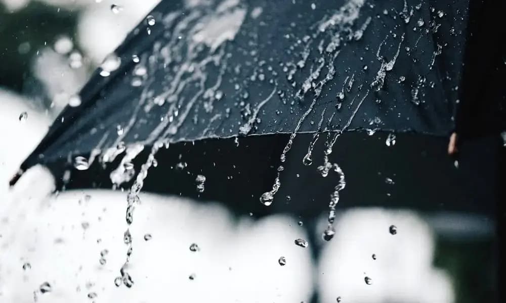 阿尔及利亚
下雨
特别气象通报