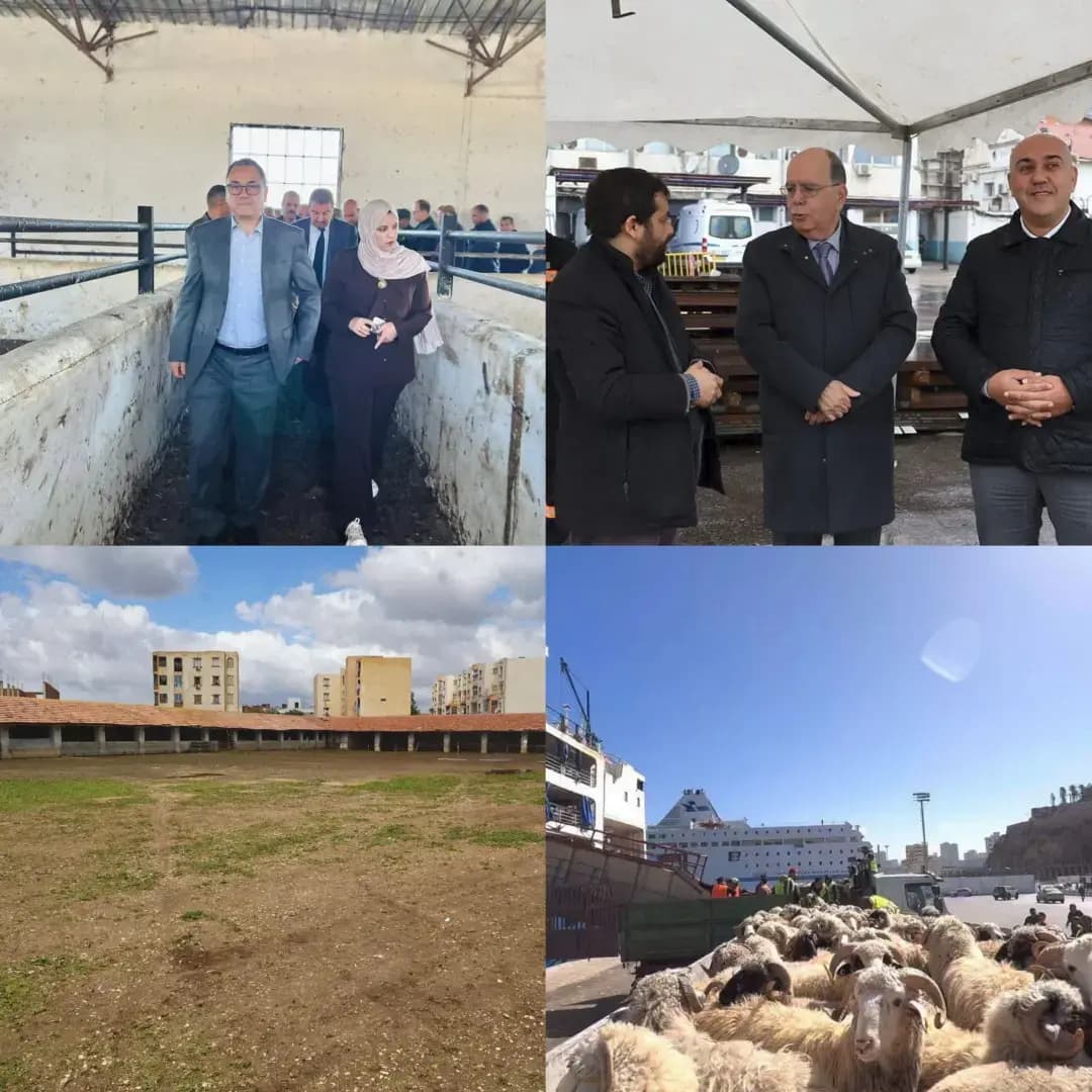 各地加强进口羊只接收和销售工作