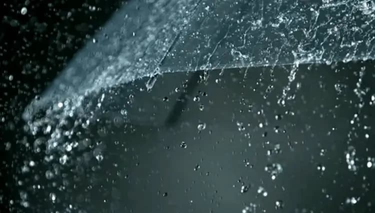 阿尔及利亚南部多省持续降雨至周六