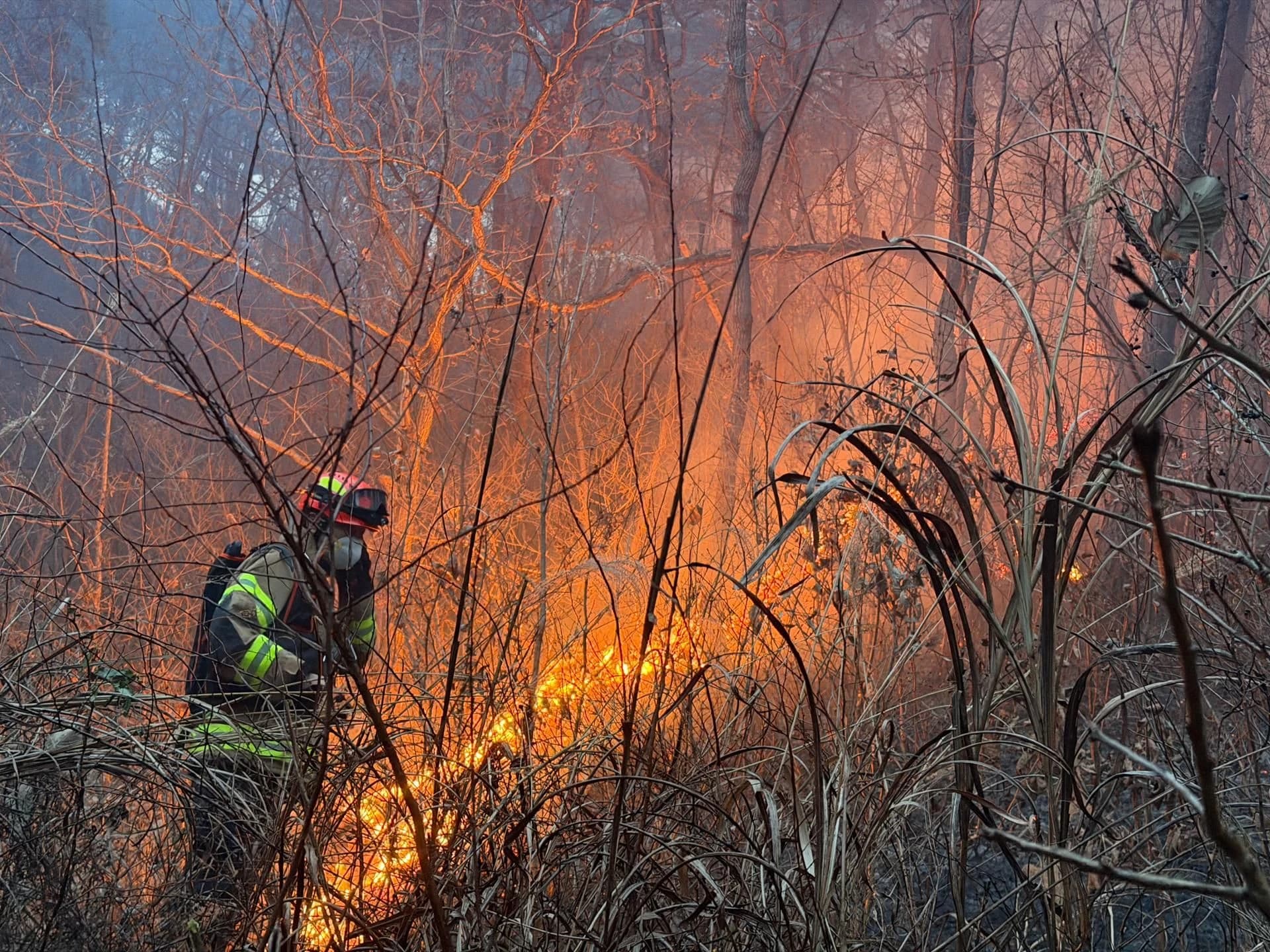 韩国东南部：因森林火灾，当地居民被敦促疏散