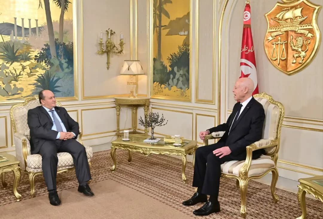 突尼斯总统会见阿尔及利亚总理