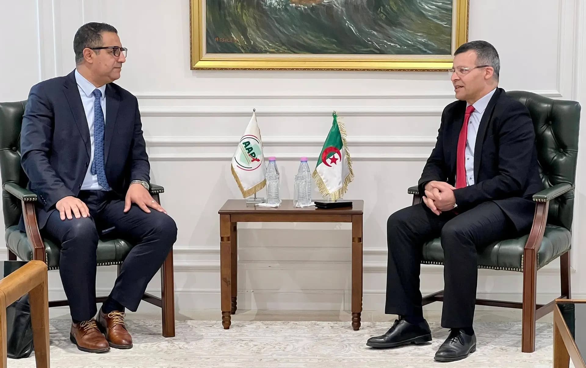 召开会议跟进加拉-吉比拉特铁矿精矿开发项目