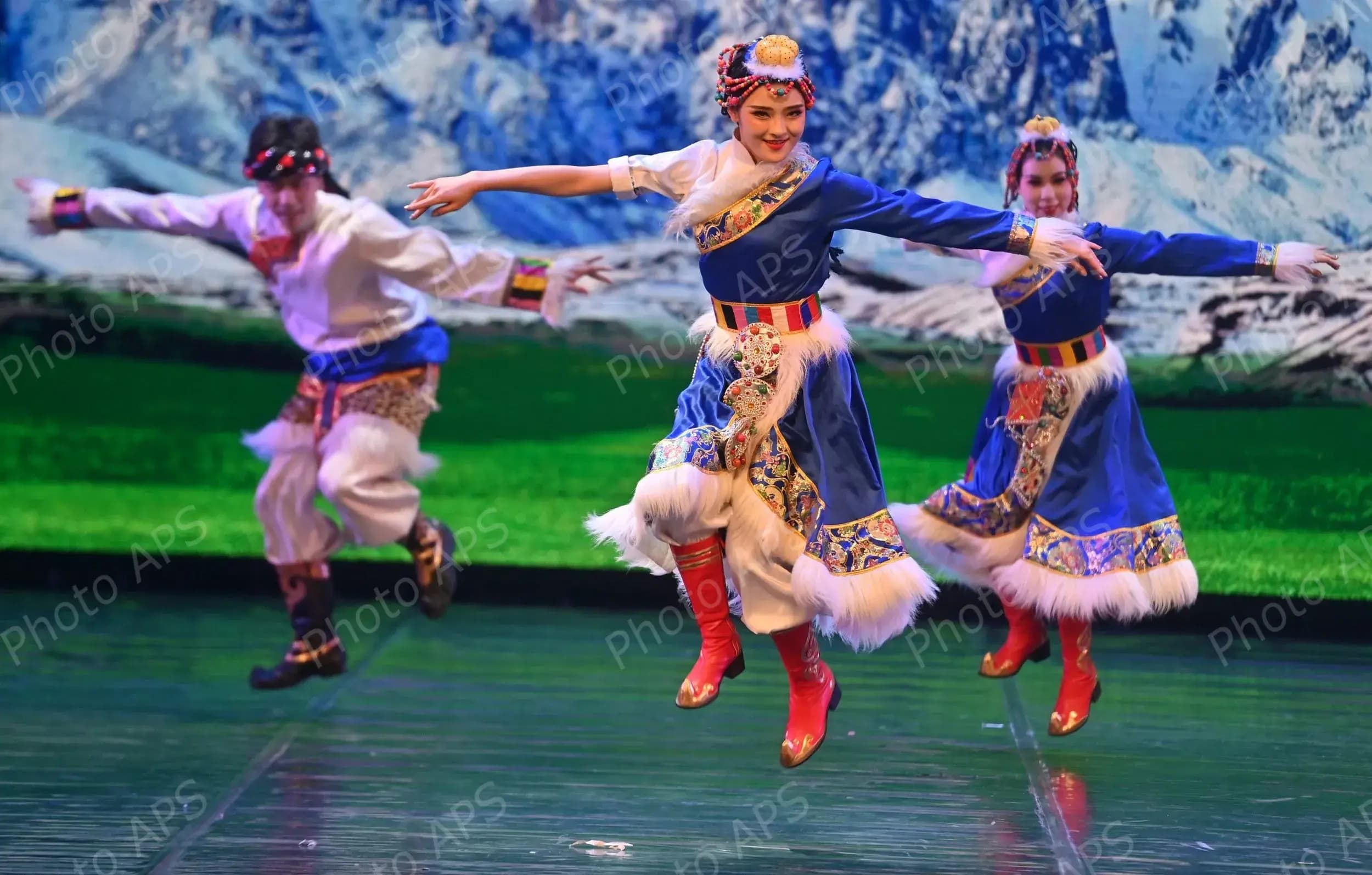 中国艺术演出在阿尔及尔首都举行 庆祝中国“春节”