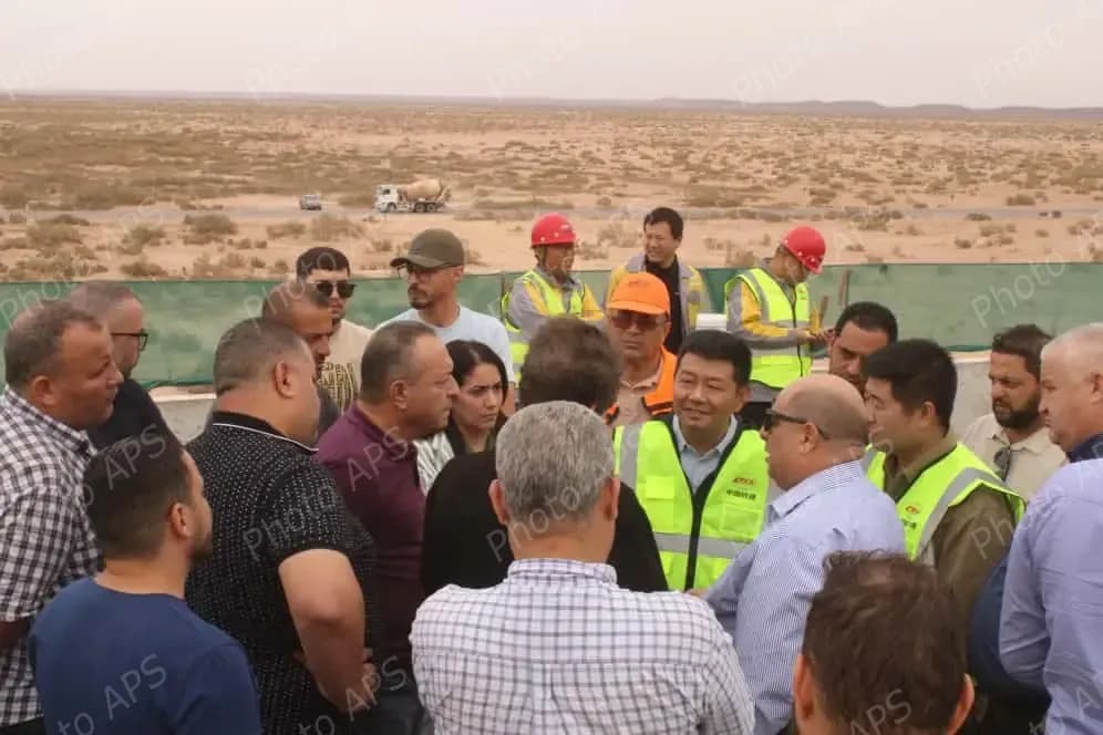 布沙尔—廷多夫—加拉·吉比拉特铁路干线重大项目：建设机构总经理视察施工现场