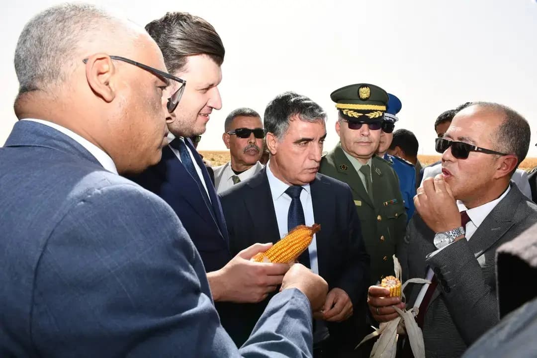 阿德拉尔:确定农业机械需求以保障玉米籽粒收成