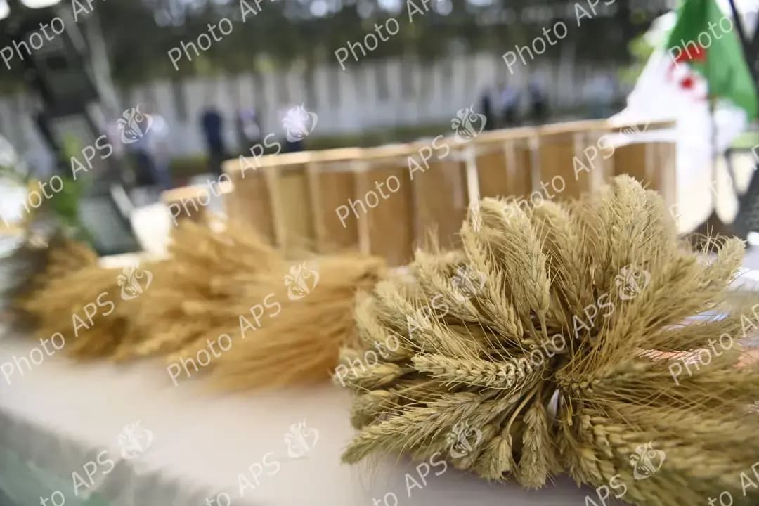 官方种子与种植目录已登记新的谷物品种