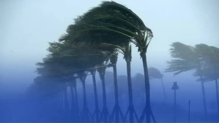 出现强风
特别气象通报