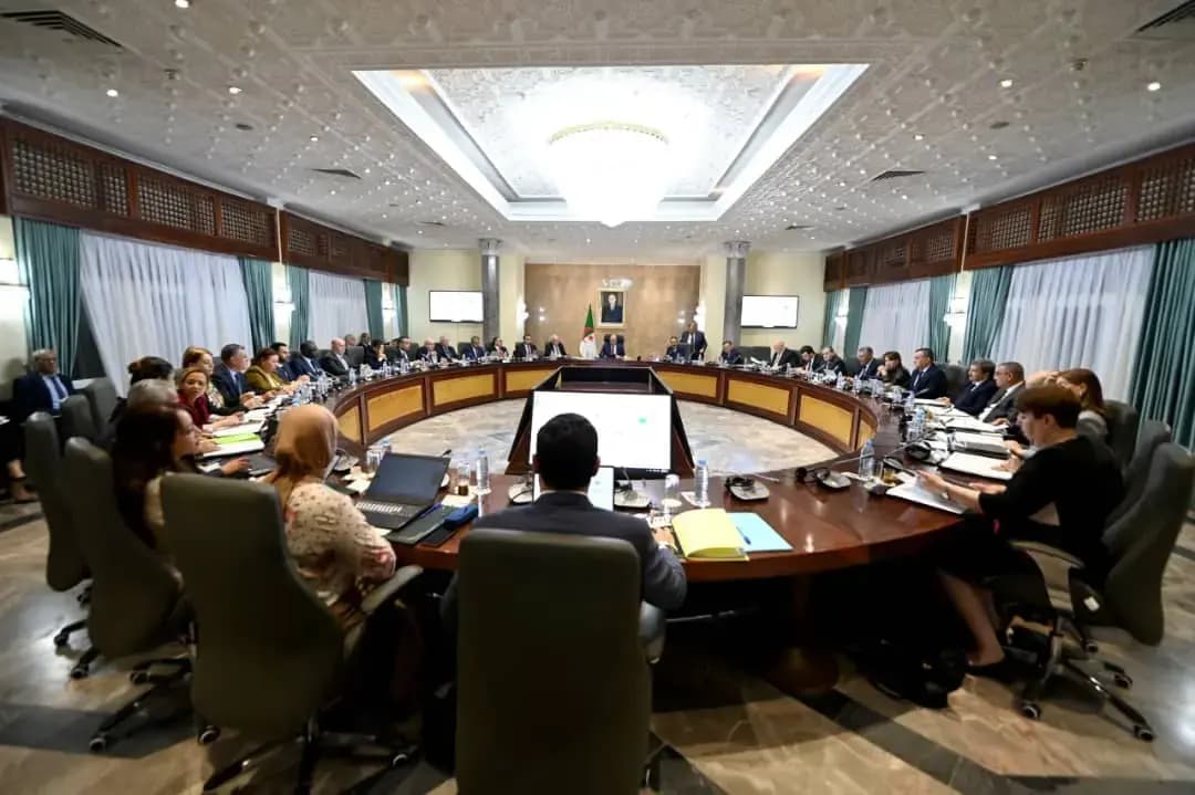 审查有关药品与基础设施项目的执行法令草案