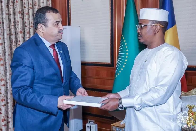 代表共和国总统,阿尔卡卜在恩贾梅纳获乍得共和国总统接见