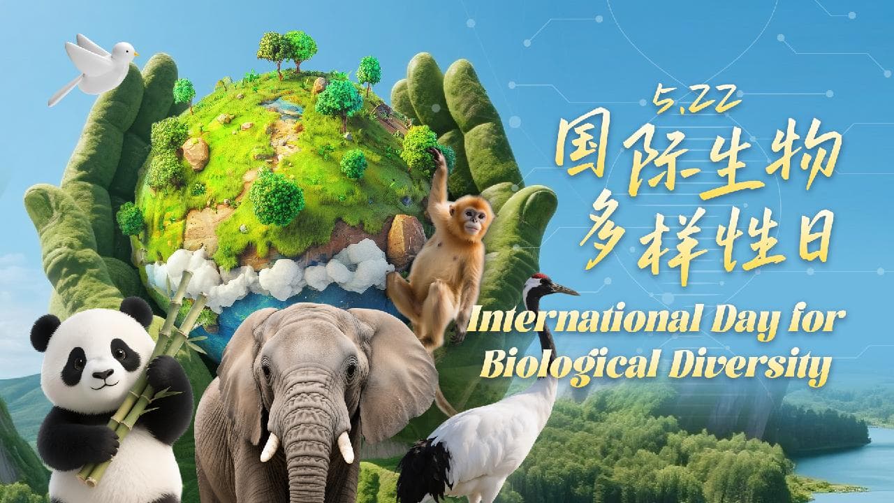 国际生物多样性日