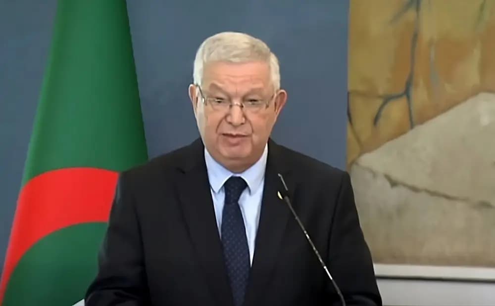 纳斯里肯定阿尔及利亚数字化转型的积极进展