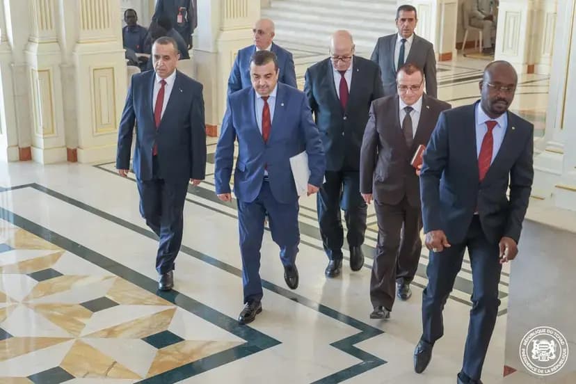 代表共和国总统,阿尔卡卜在恩贾梅纳获乍得共和国总统接见