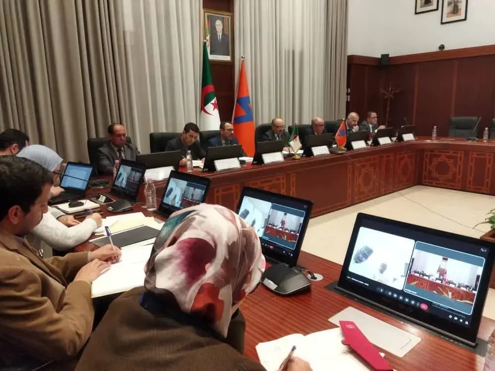 Algeria, Niger reactivate electricity partnership
