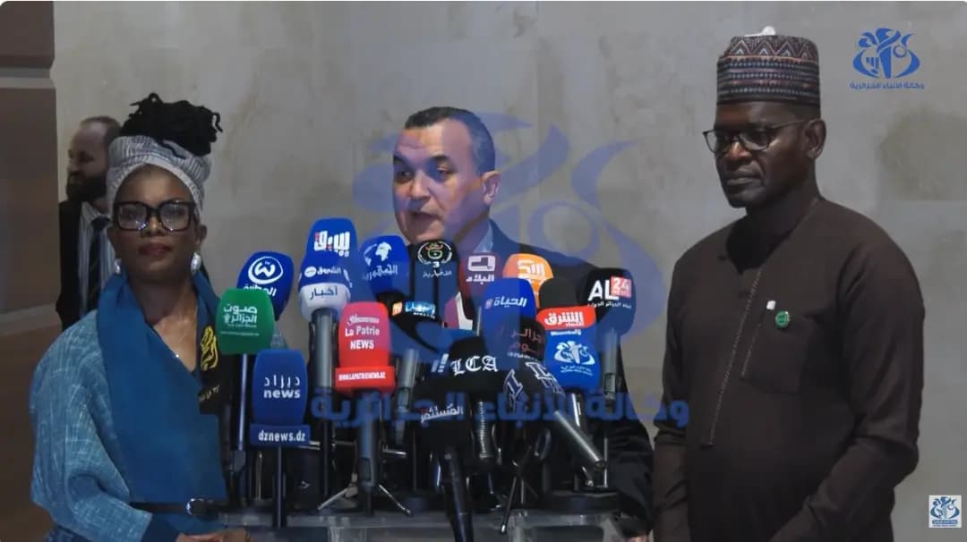 Telecom: Algiers Declaration sets framework for regulating global online streaming platforms in Africa