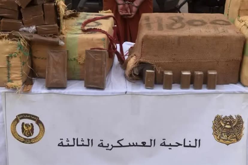 PNA foils attempts to smuggle over 10 quintals of cannabis across Moroccan border
