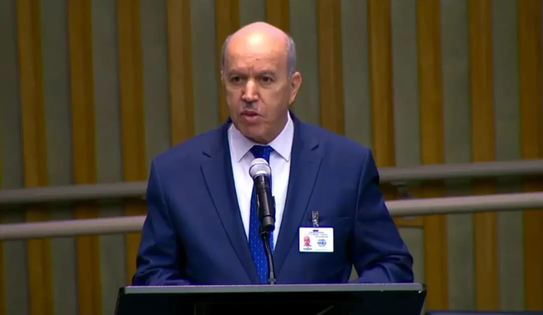 UNGA: Youth, top priority in President Tebboune's programme