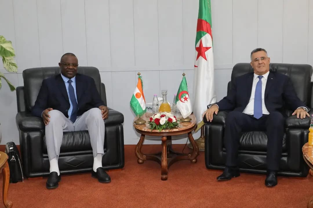 Algeria, Niger discuss boosting water resources cooperation, drafting joint MoU