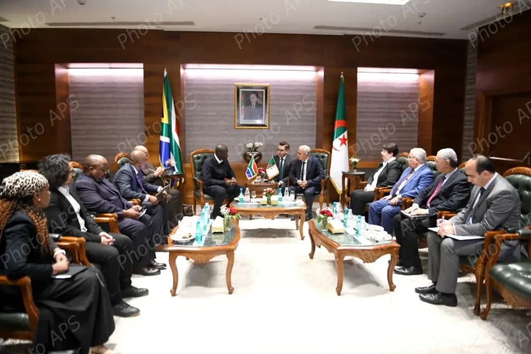 Algeria-South Africa talks on cooperation, strategic partnership in mining