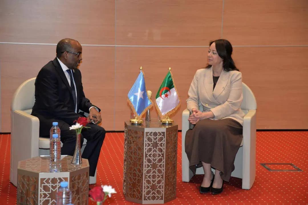 Mansouri holds talks with Somali FM