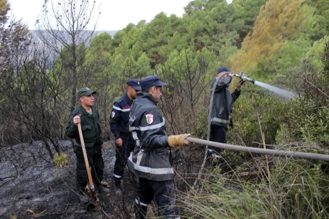 Tipaza fires: Ministry confirms strong field presence, ongoing response by local authorities
