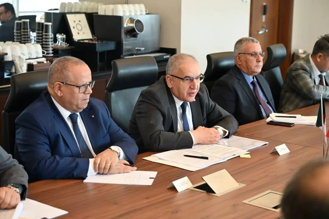 Algeria, Türkiye hold third political consultations session in Istanbul