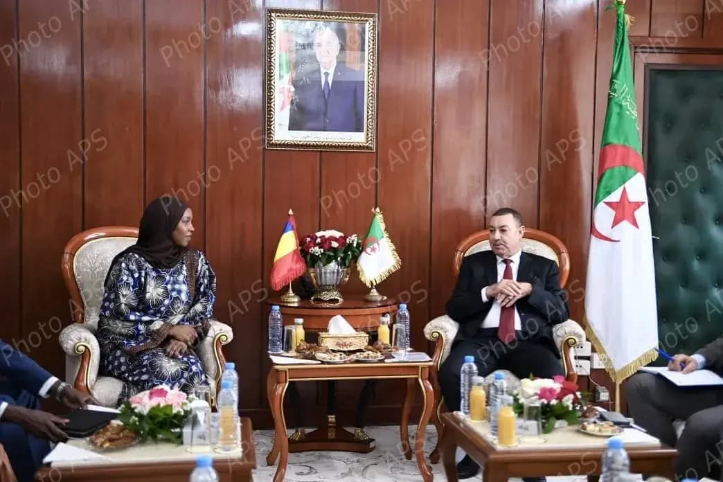 Sayoud receives Chad's Transport Minister
