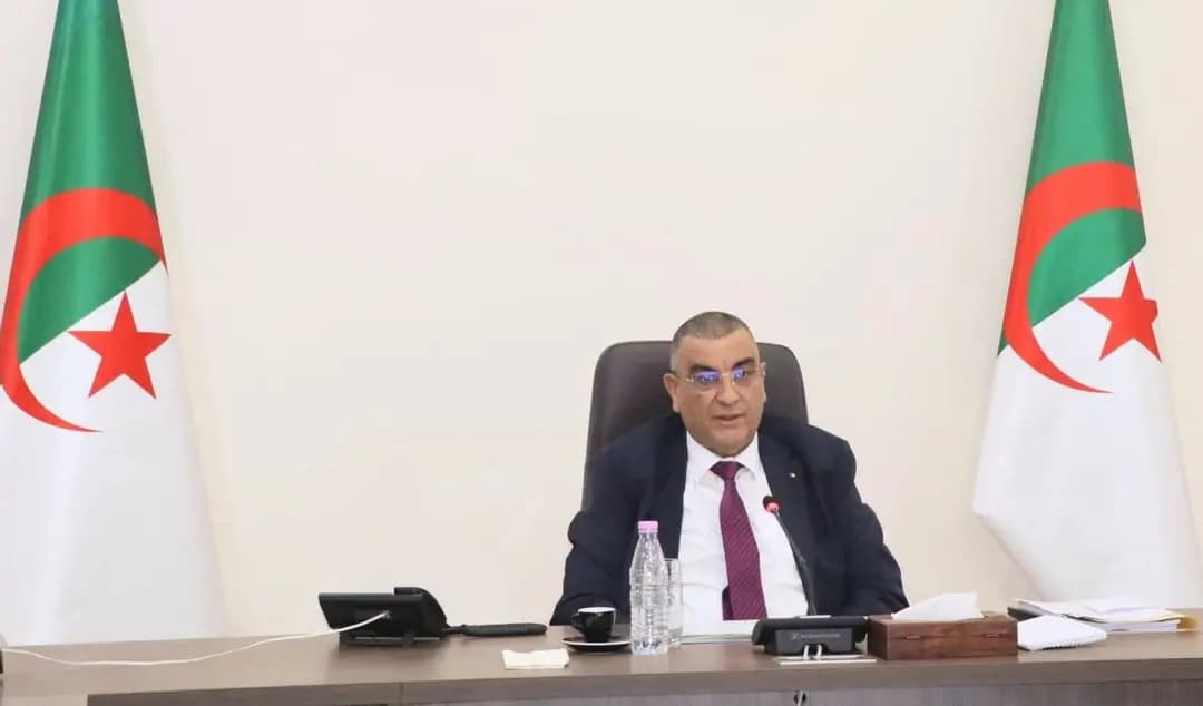 Djellaoui orders acceleration of strategic projects
