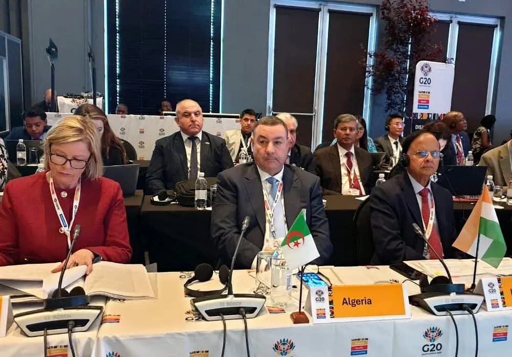 Sayoud participates in ministerial meeting of G20 Disaster Risk Reduction Working Group