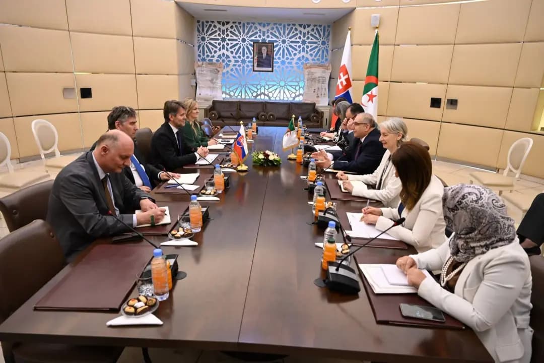 Algiers hosts 3rd Algerian-Slovak political consultations