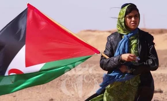 Sahrawi women, unwavering backbone of resistance and struggle
